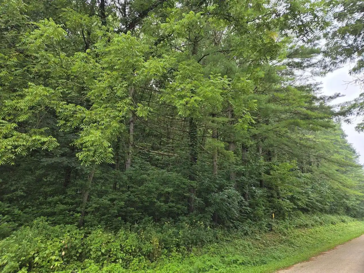 3rd image of Tbd Marshall Rd Road Road, Richland Center, WI 53581 | MLS# 2031243