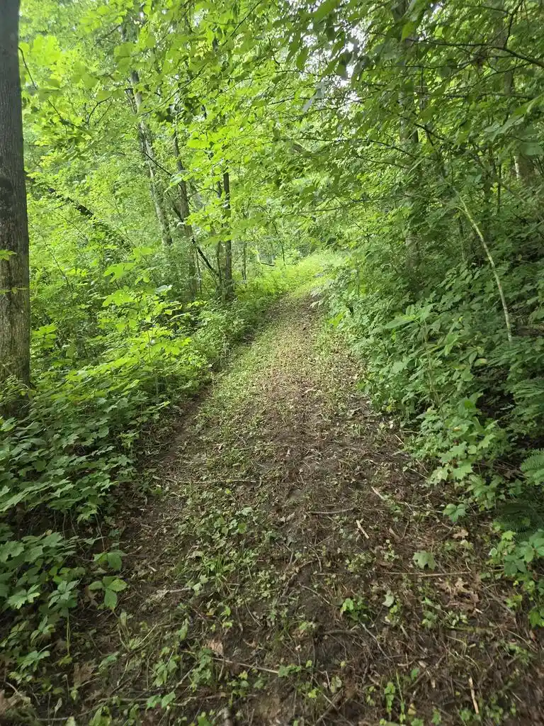4th image of Tbd Marshall Rd Road Road, Richland Center, WI 53581 | MLS# 2031243