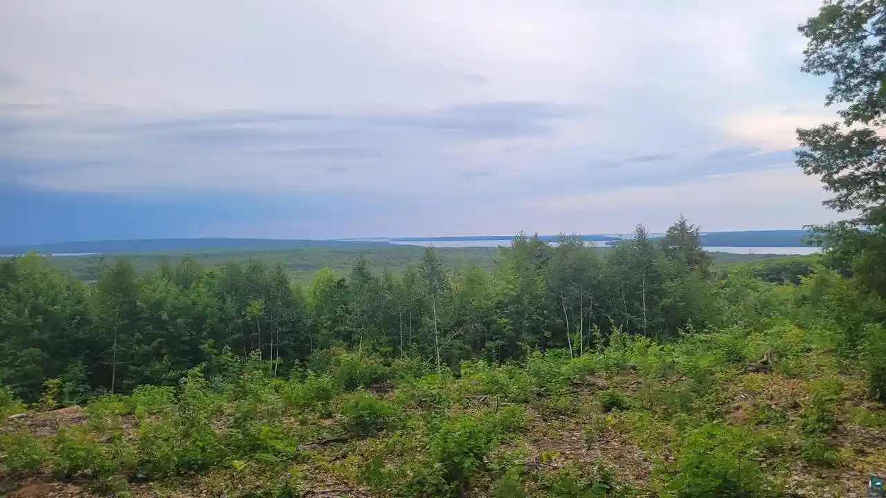 Photo 3 of Land for sale at 8855X Turner Rd Rd, Bayfield, WI 54814 | MLS# 6127596 | Listing updated on 2026-08-25