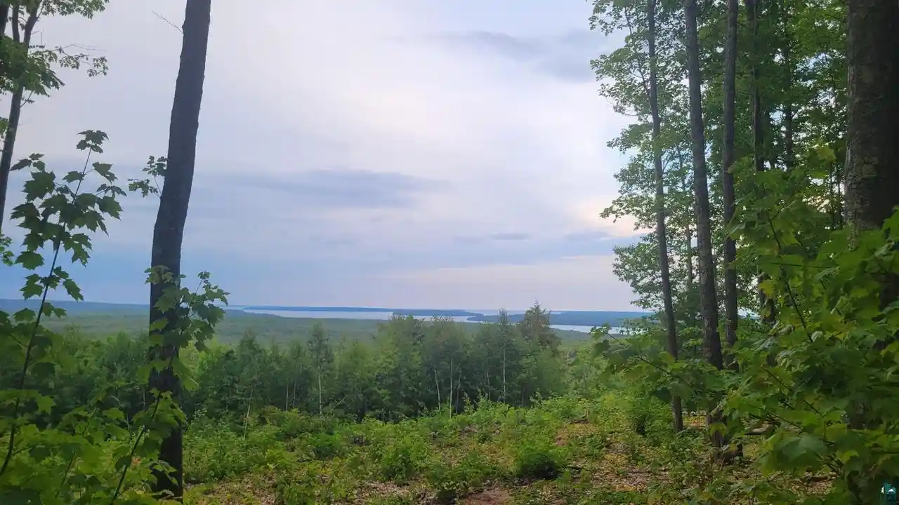 Photo 11 of Land for sale at 8855x Turner Rd Rd, Bayfield, WI 54814 | MLS# 6127596 | Listing updated on 2026-08-25