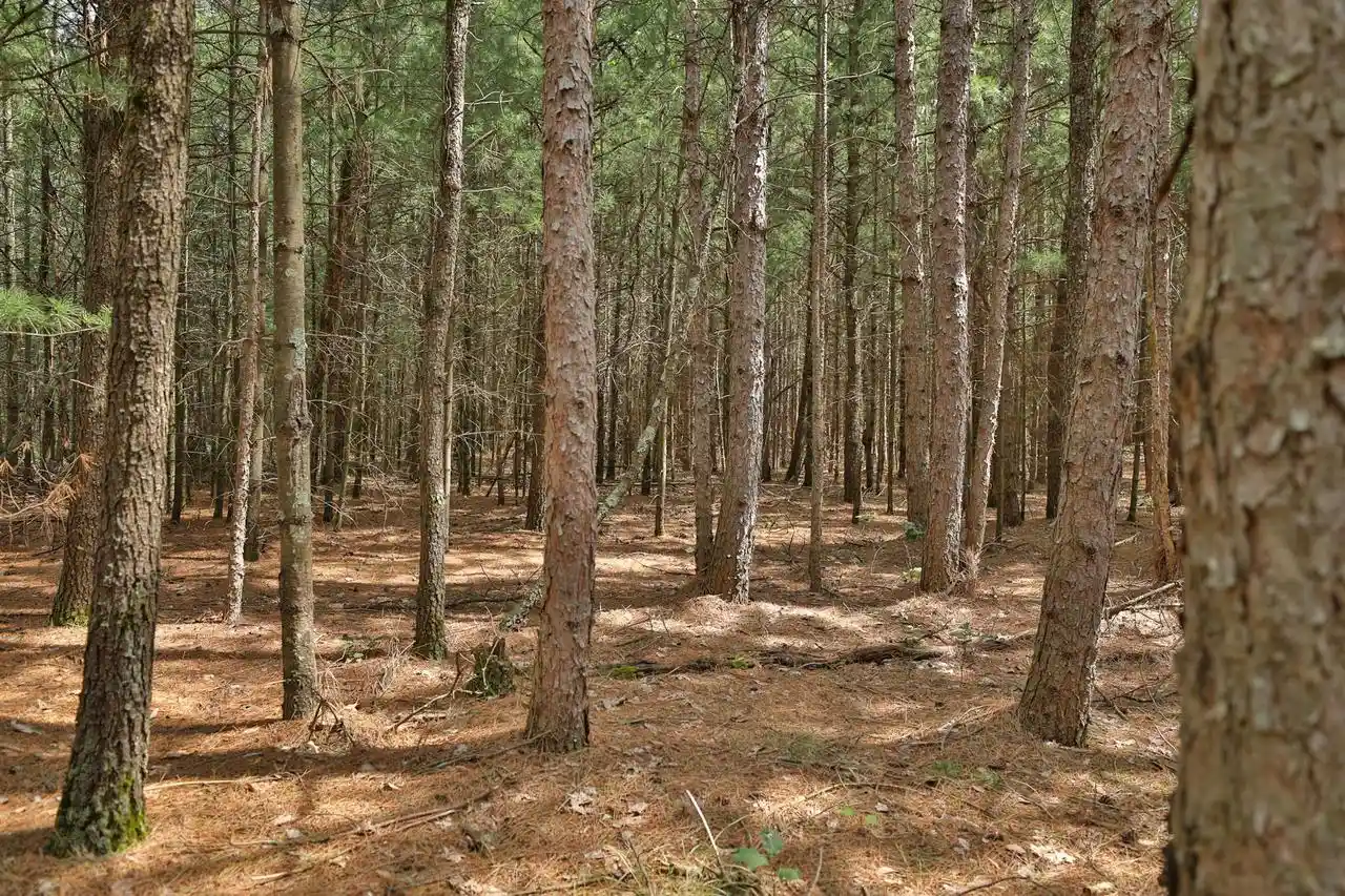 2nd image of 3970 Ac 9th Avenue Avenue, Wisconsin Dells, WI 53965 | MLS# 2031286