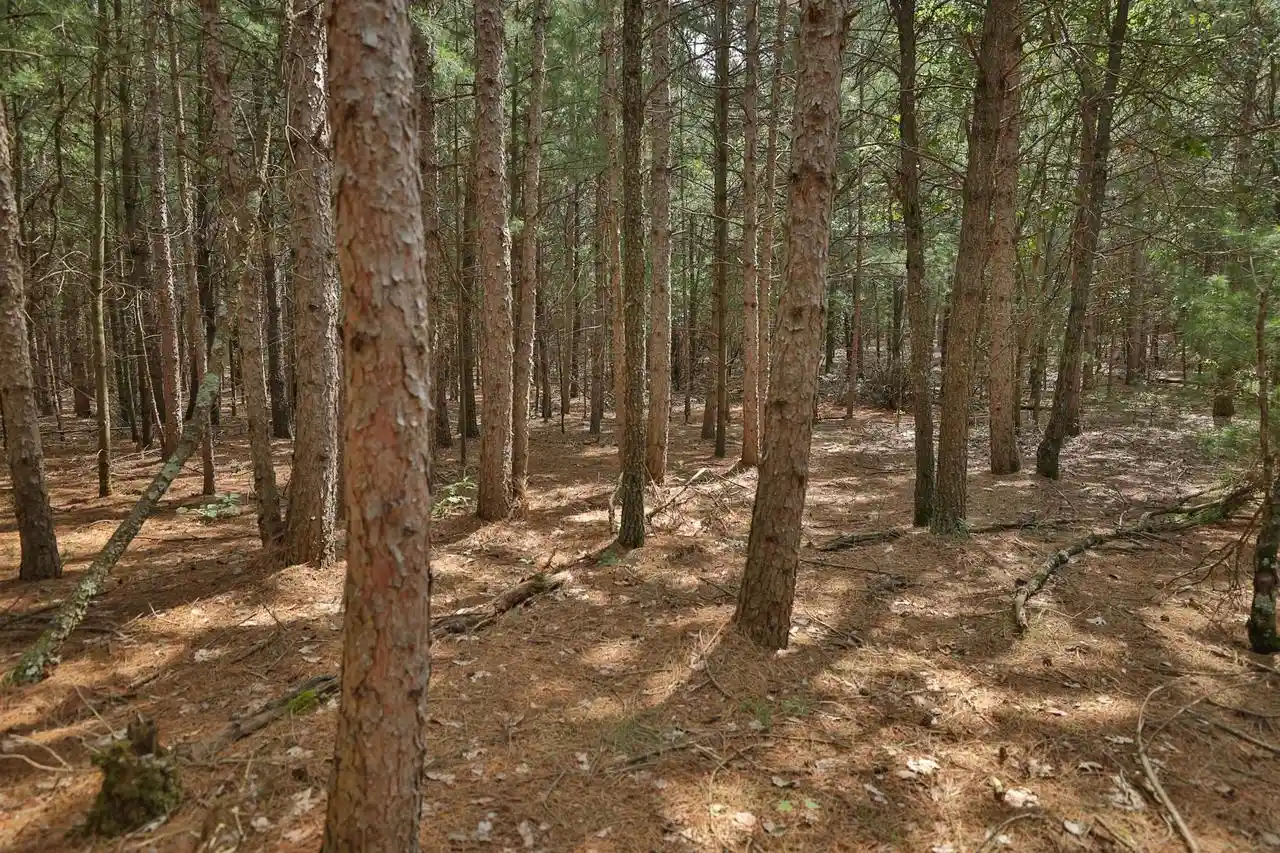 3rd image of 3970 Ac 9Th Avenue Avenue, Wisconsin Dells, WI 53965 | MLS# 2031286