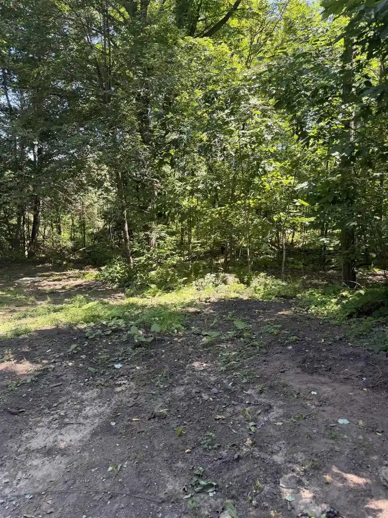 Photo 3 of Single family home for sale at N9736 Central Avenue Avenue, Wausaukee, WI 54177 | MLS# 50331644 | Listing updated on 2026-10-05