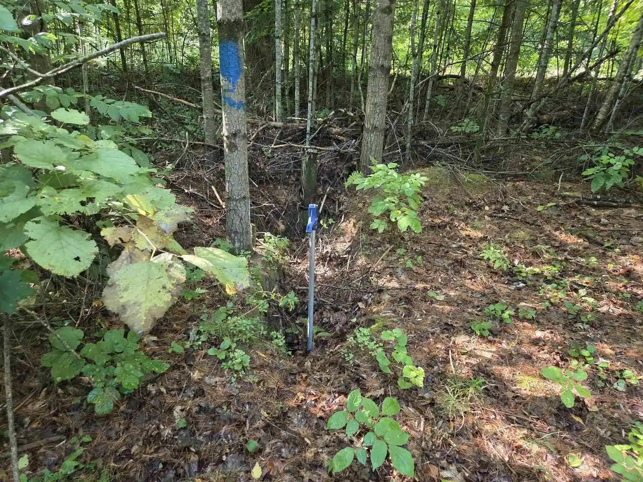 Photo 3 of Land for sale at W Sweetheart City Road Road, Middle Inlet, WI 54177 | MLS# 50331656 | Listing updated on 2026-08-30
