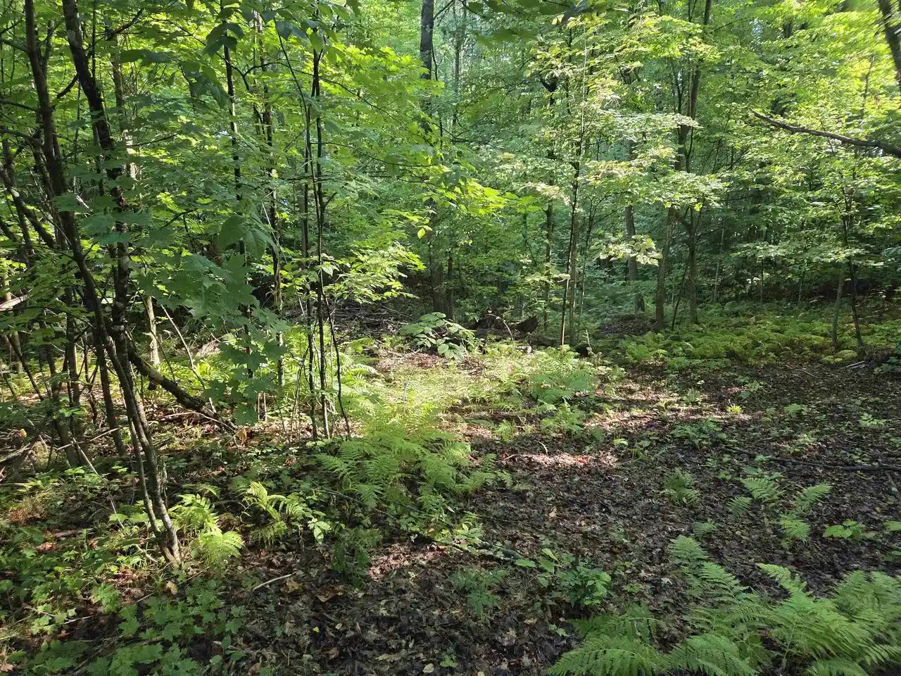 Photo 3 of Land for sale at W Sweetheart City Road Road, Middle Inlet, WI 54177 | MLS# 50331656 | Listing updated on 2026-08-30