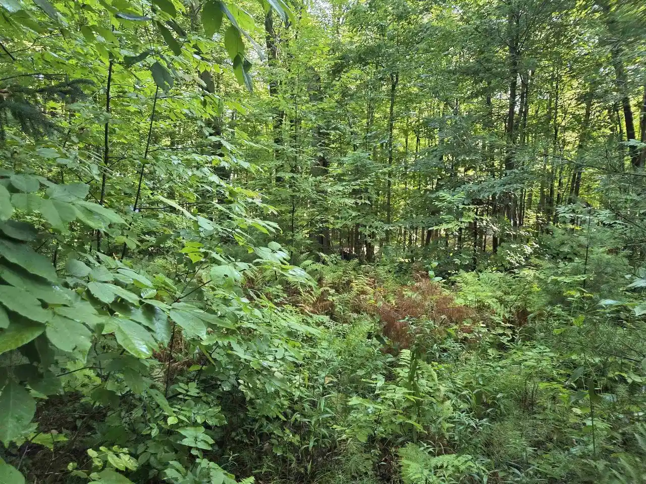 Photo 4 of Land for sale at W Sweetheart City Road Road, Middle Inlet, WI 54177 | MLS# 50331656 | Listing updated on 2026-08-30