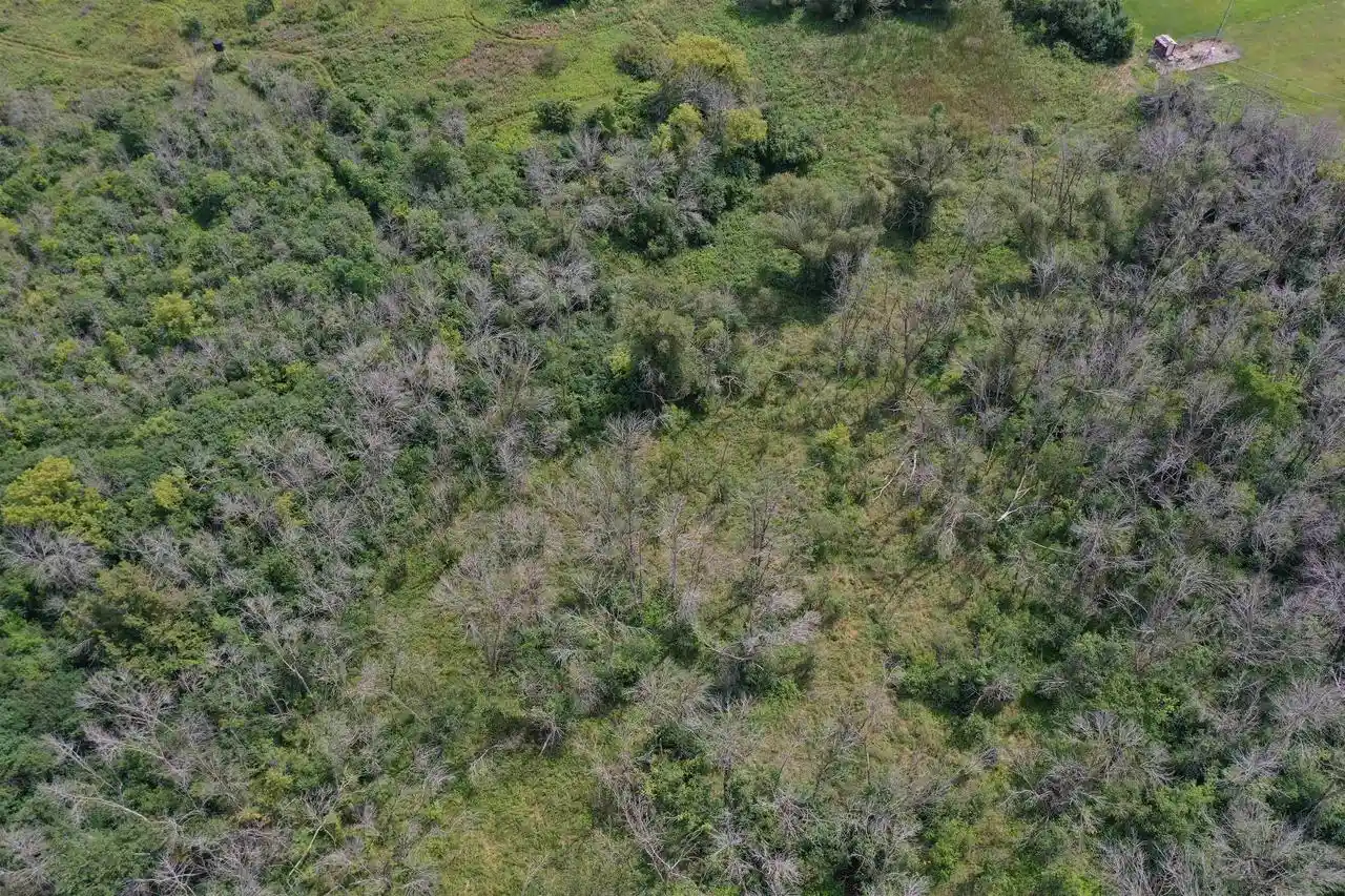 Photo 3 of Land for sale at Home Avenue Avenue, Waupun, WI 53963 | MLS# 2031289 | Listing updated on 2026-09-11