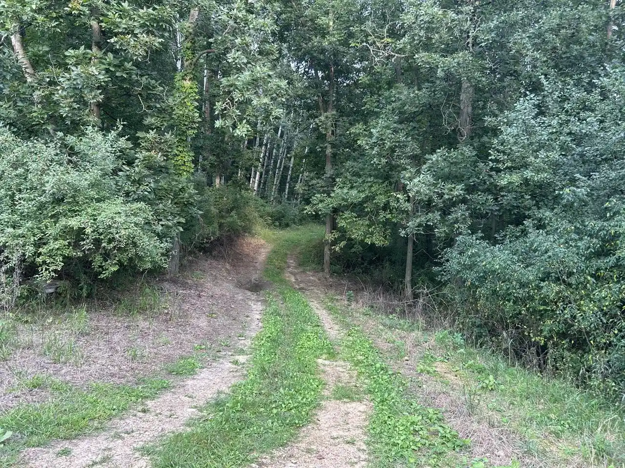 3rd image of 000 Pruess Road Road, Elroy, WI 53929 | MLS# 1977887