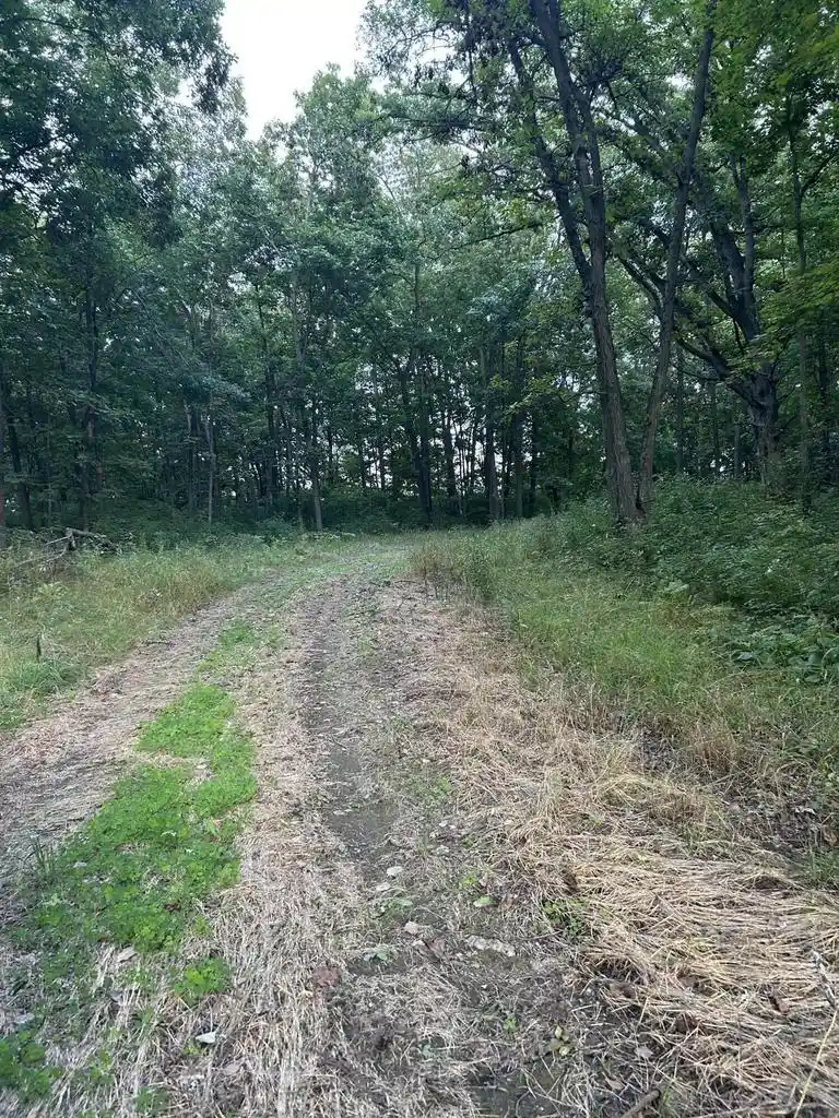 4th image of 000 Pruess Road Road, Elroy, WI 53929 | MLS# 1977887