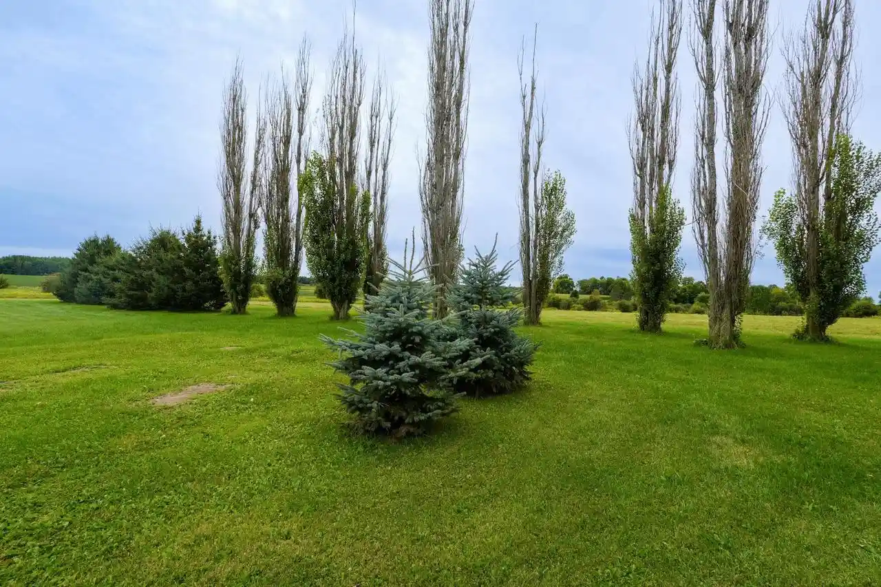 6th image of W5205 Dassow Avenue Avenue, Medford, WI 54451 | MLS# 22604191