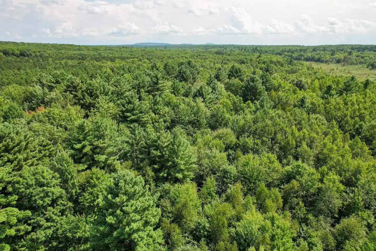 3rd image of N11449 Tieman Avenue Avenue, Thorp, WI 54771 | MLS# 2031363