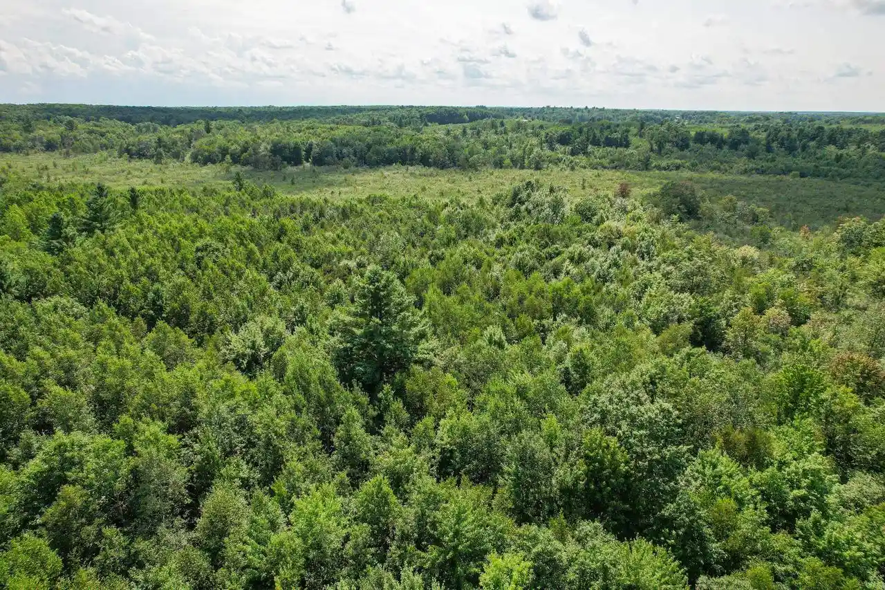 4th image of N11449 Tieman Avenue Avenue, Thorp, WI 54771 | MLS# 2031363