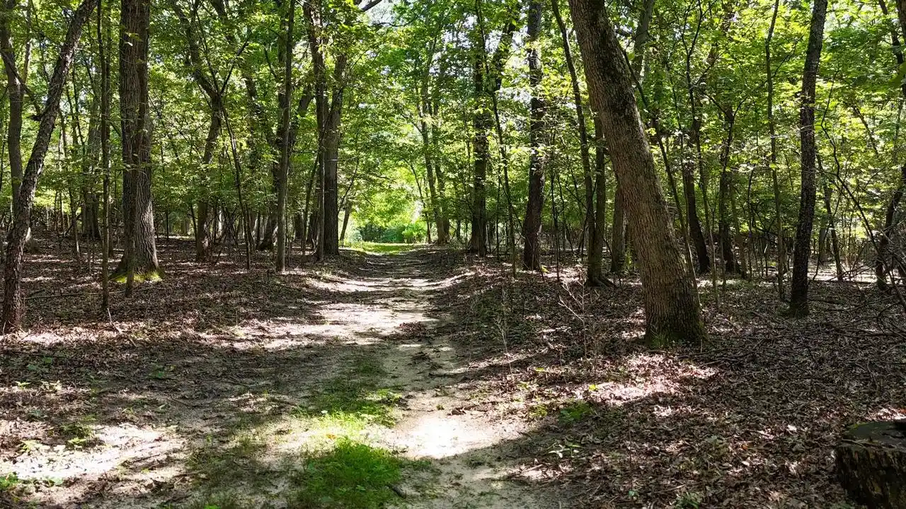 3rd image of N2014 13Th Road Road, Montello, WI 53949 | MLS# 2031380