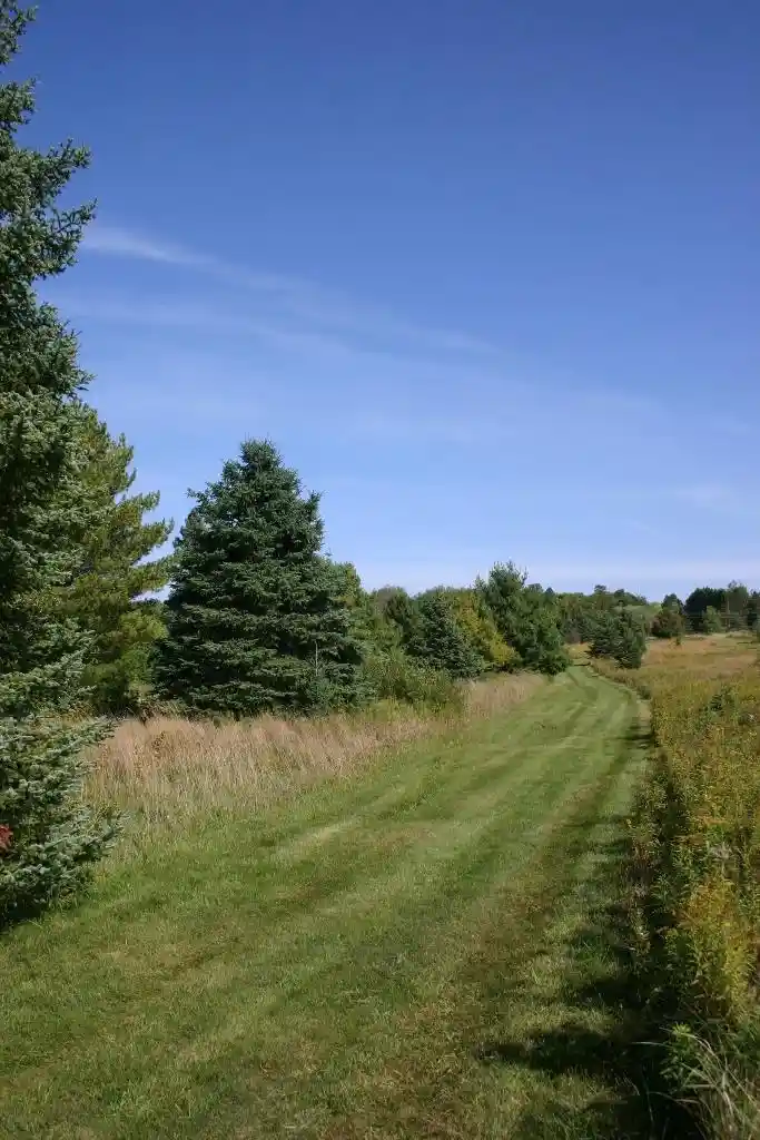 2nd image of 12279 Stangle Road Road, Butternut, WI 54514 | MLS# 2031403