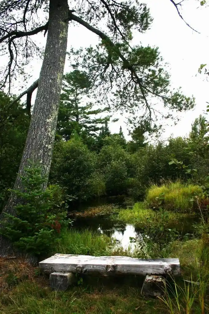 4th image of 12279 Stangle Road Road, Butternut, WI 54514 | MLS# 2031403