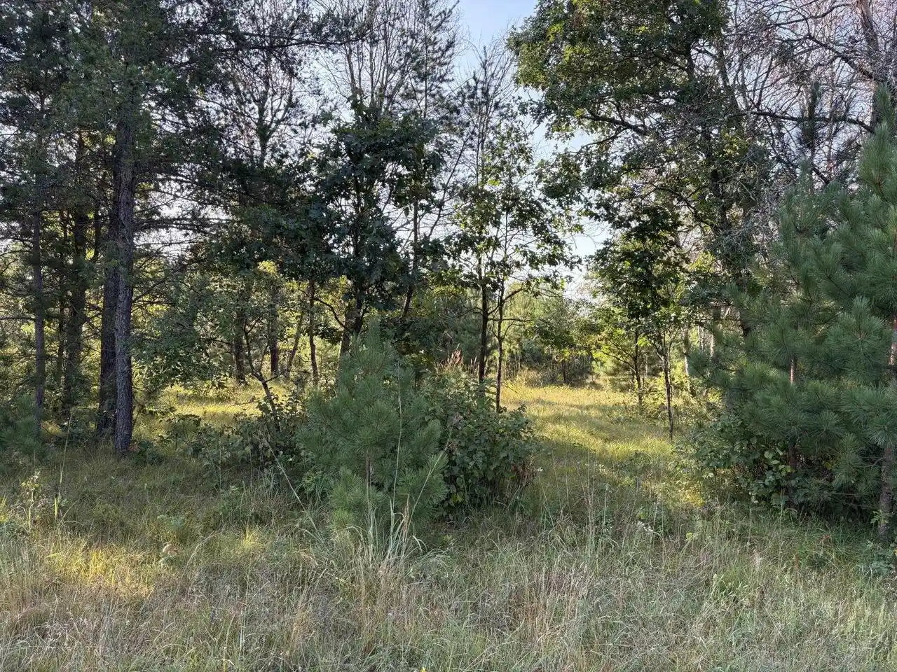 Photo 2 of Land for sale at 1371 Sawgrass Dr Dr, Nekoosa, WI 54457 | MLS# 2031426 | Listing updated on 2026-09-01