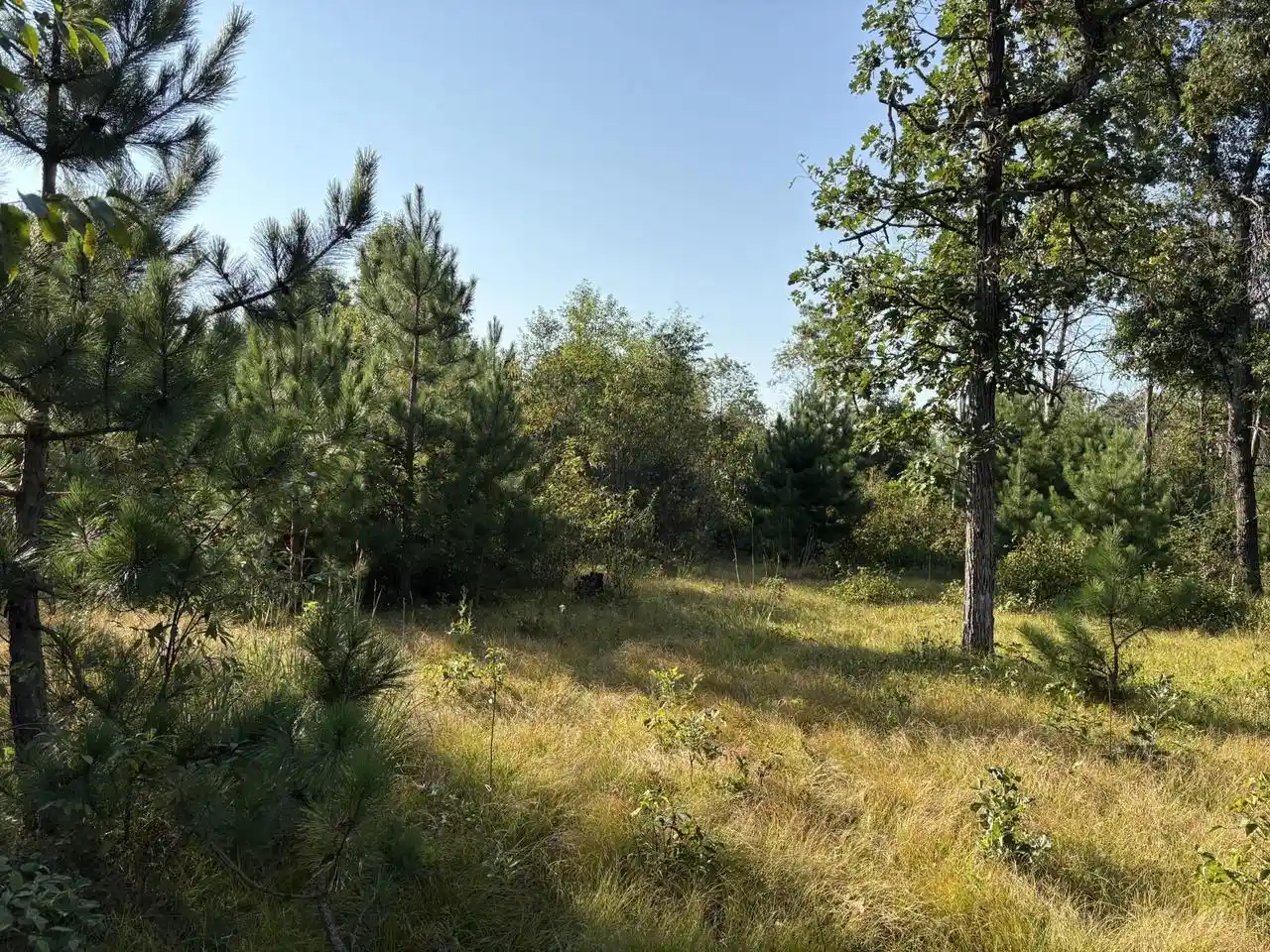 Photo 3 of Land for sale at 1371 Sawgrass Dr Dr, Nekoosa, WI 54457 | MLS# 2031426 | Listing updated on 2026-09-01