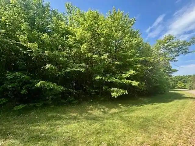 Photo 3 of Land for sale at N8823 Dickerson Avenue Avenue, Willard, WI 54493 | MLS# 22604198 | Listing updated on 2026-09-04