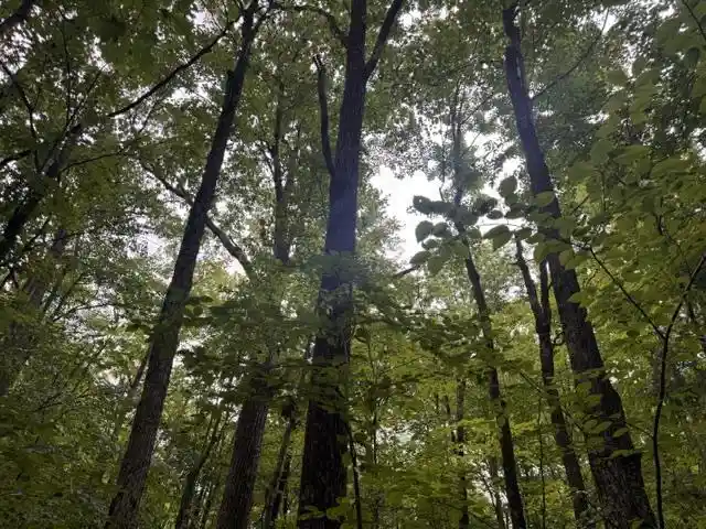 Photo 1 of Land for sale at 240701 Sawmill Road Road, Aniwa, WI 54408 | MLS# 22604199 | Listing updated on 2026-09-23