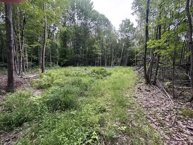 Photo 3 of Land for sale at 240701 Sawmill Road Road, Aniwa, WI 54408 | MLS# 22604199 | Listing updated on 2026-09-23
