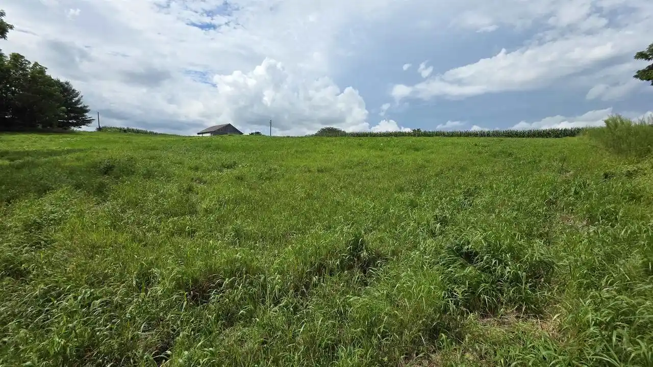 Photo 3 of Land for sale at 4795 Steiger Lane Lane, Potosi, WI 53820 | MLS# 2031446 | Listing updated on 2026-10-05