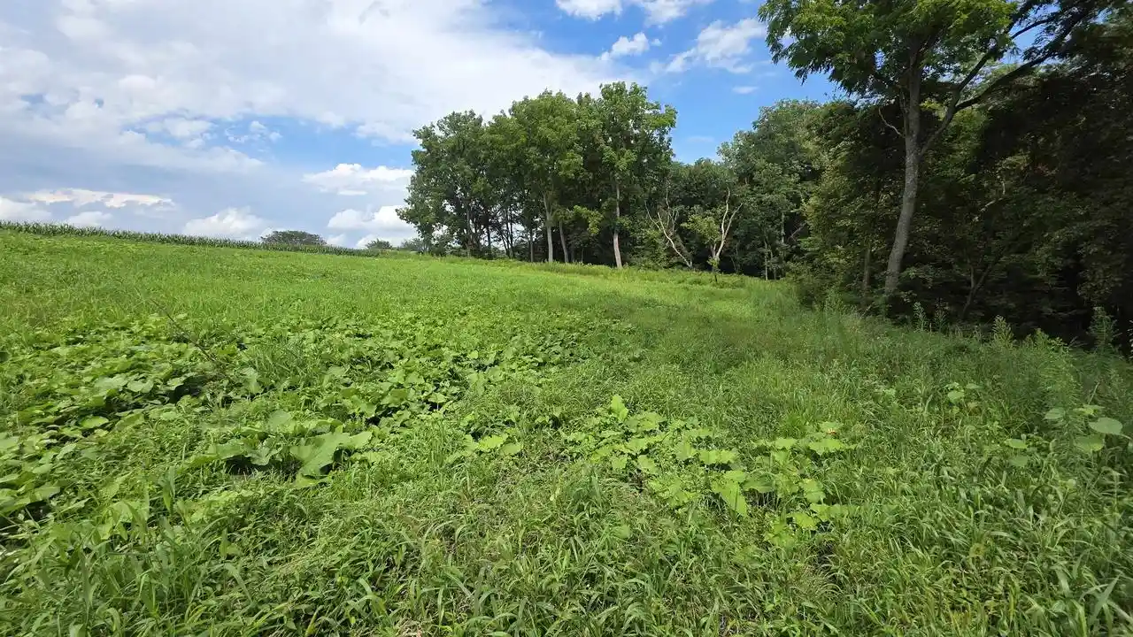 Photo 4 of Land for sale at 4795 Steiger Lane Lane, Potosi, WI 53820 | MLS# 2031446 | Listing updated on 2026-10-05