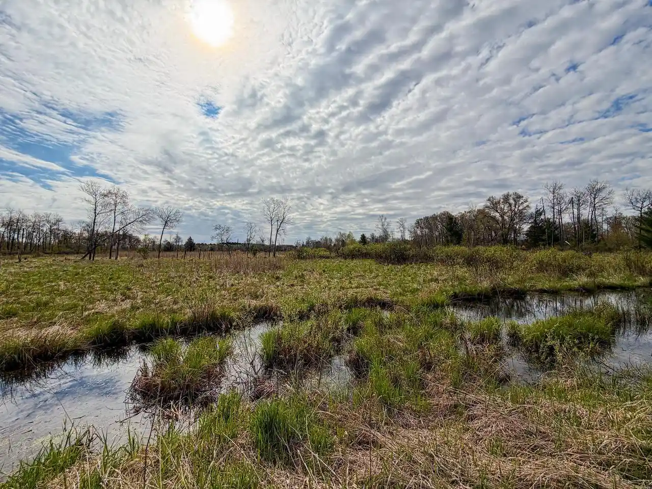 5th image of 0000 Cty Rd C, New Lisbon, WI 53950 | MLS# 2031477