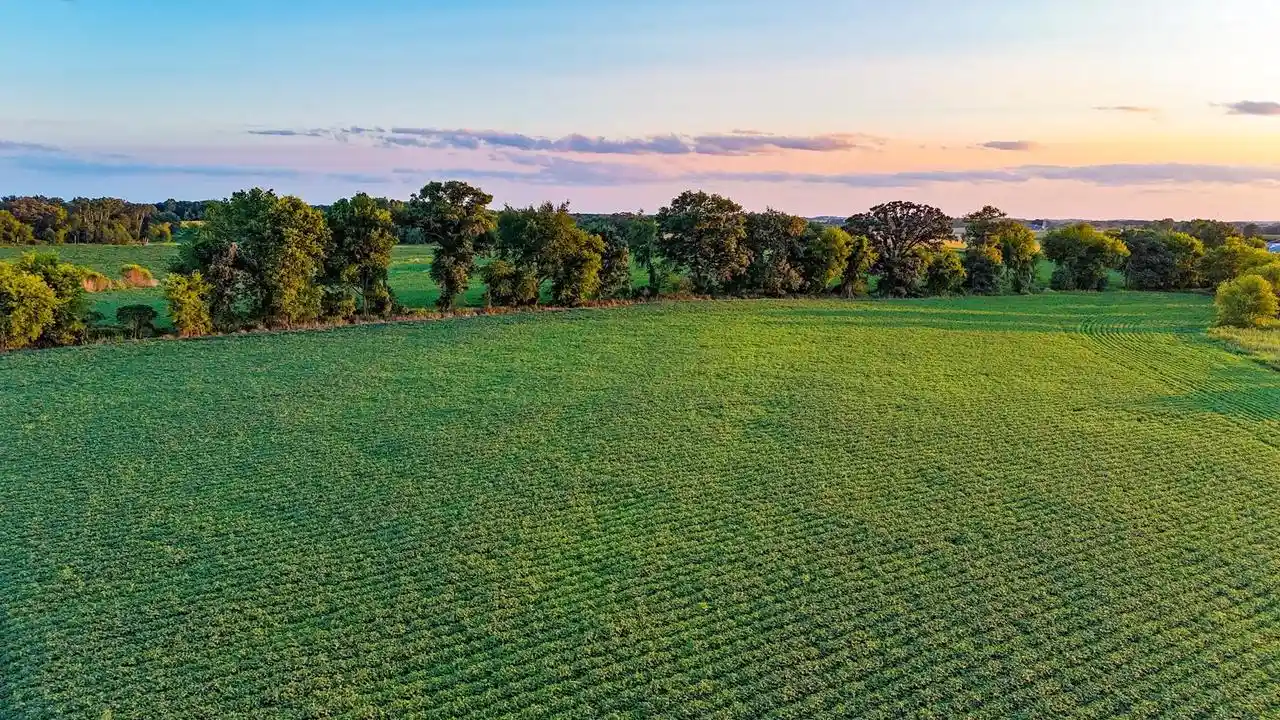 Photo 3 of Land for sale at W11851 State Road 16 & 60, Columbus, WI 53925 | MLS# 2031484 | Listing updated on 2026-09-02