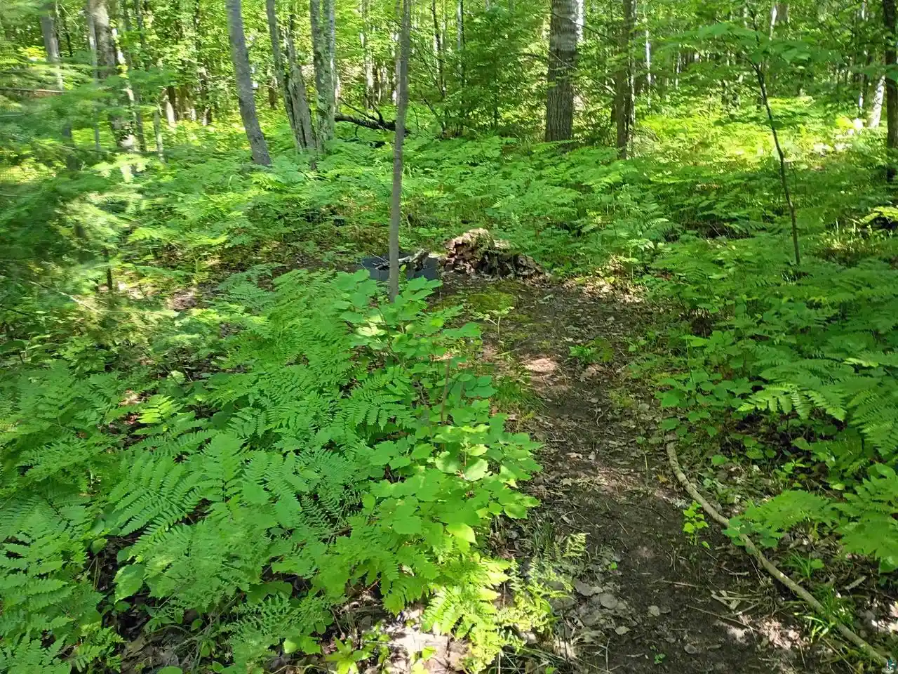 Photo 4 of Sale Pending at 14343 Eagles Ridge Rd Rd, Brule, WI 54820 | MLS# 6127642 | Listing updated on 2026-09-06