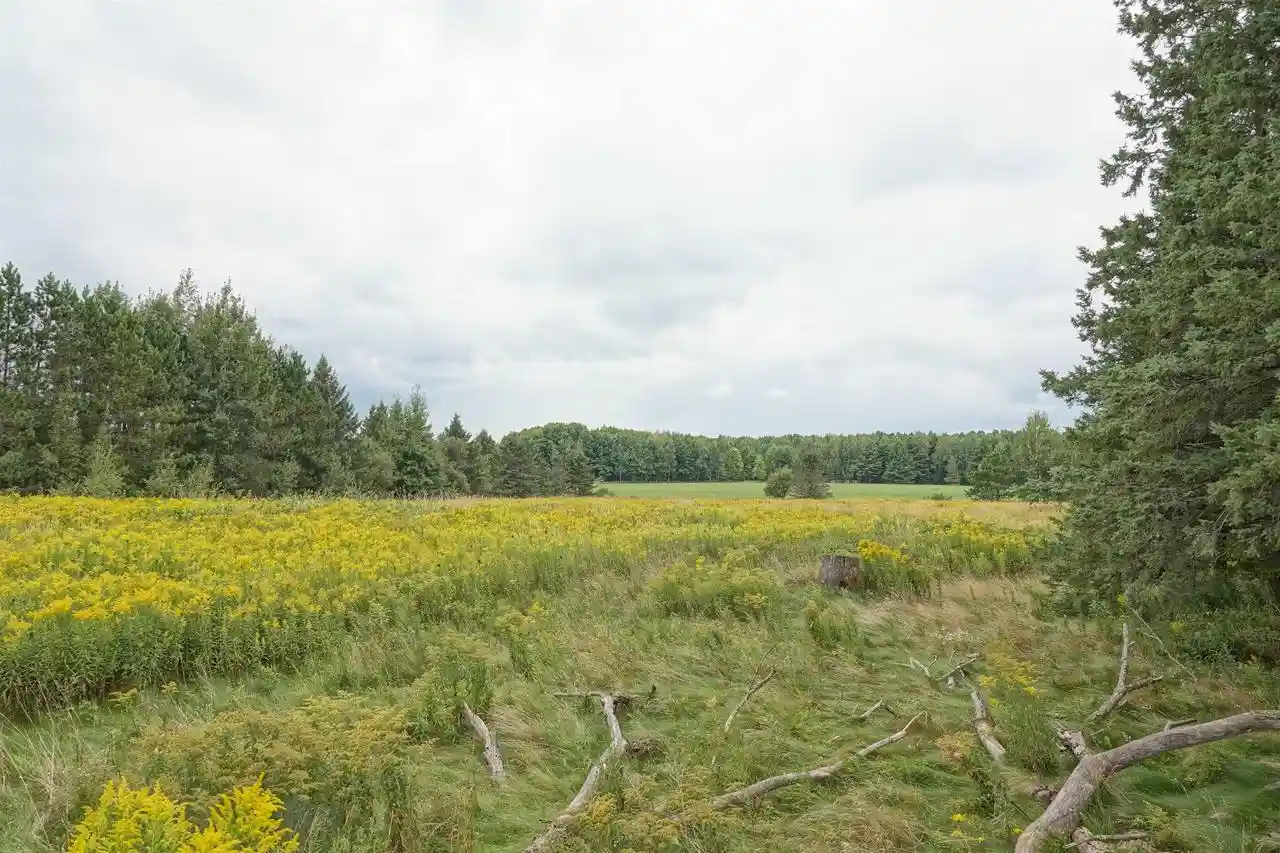 4th image of W2832 State Hwy 64, Medford, WI 54451 | MLS# 22604228
