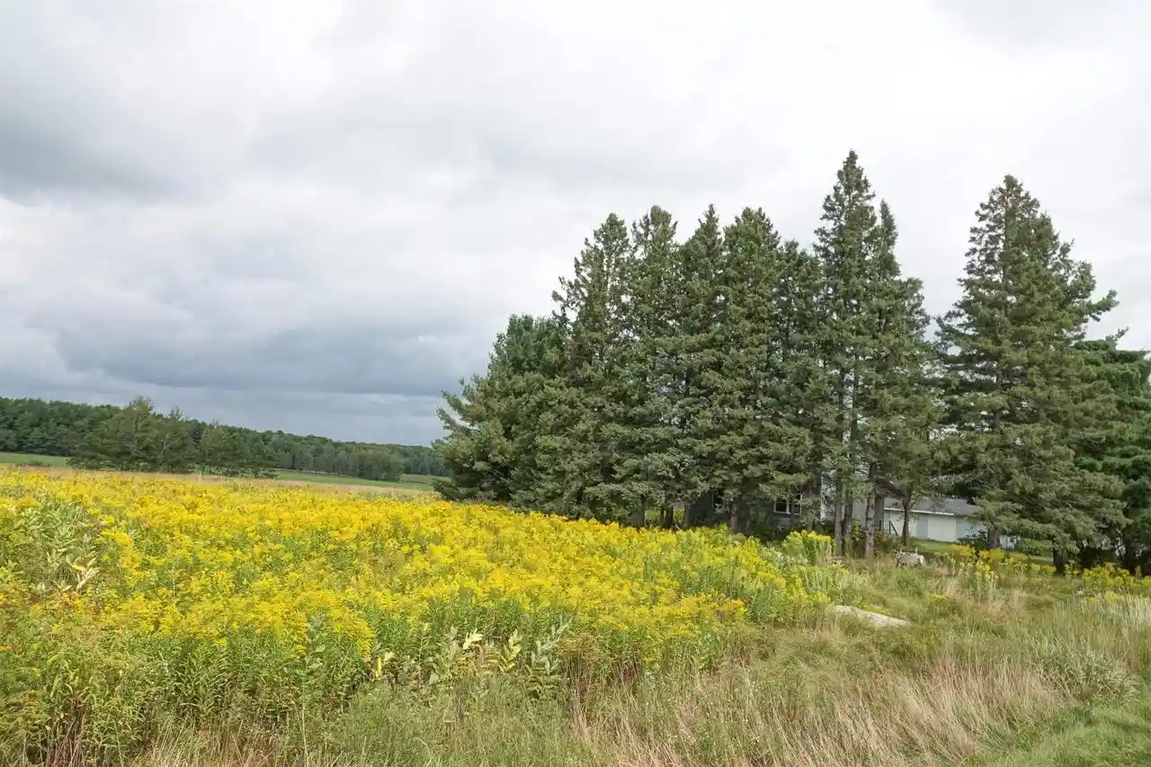 5th image of W2832 State Hwy 64, Medford, WI 54451 | MLS# 22604228