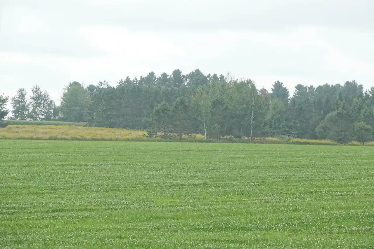 7th image of W2832 State Hwy 64, Medford, WI 54451 | MLS# 22604228
