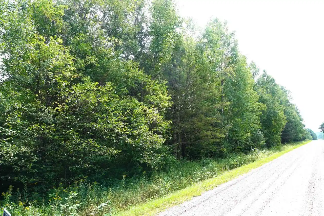 Photo 1 of Land for sale at 20 Acres S Rangeline Road Road, Deerbrook, WI 54424 | MLS# 22604242 | Listing updated on 2026-09-14