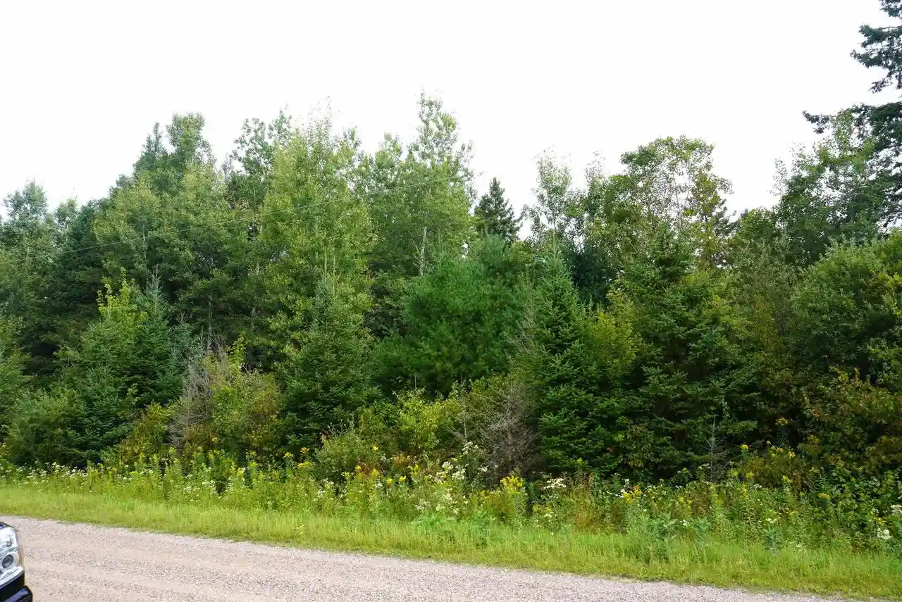 Photo 2 of Land for sale at 20 Acres S Rangeline Road Road, Deerbrook, WI 54424 | MLS# 22604242 | Listing updated on 2026-09-14