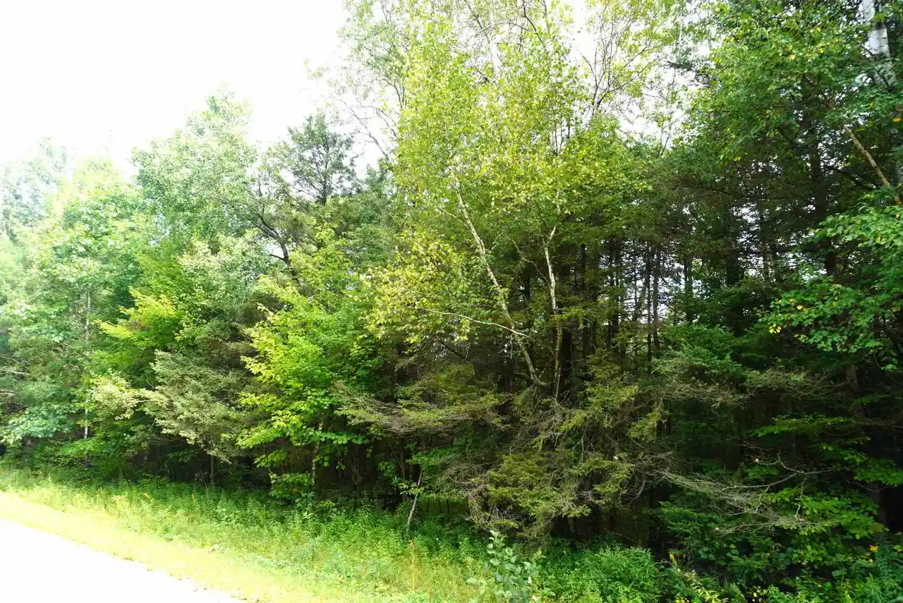Photo 3 of Land for sale at 20 Acres S Rangeline Road Road, Deerbrook, WI 54424 | MLS# 22604242 | Listing updated on 2026-09-14