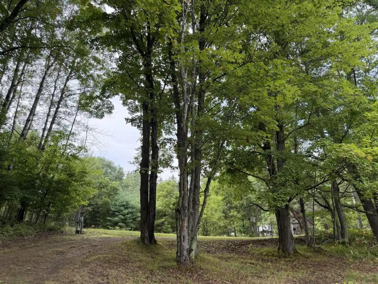 Photo 1 of Land for sale at Lt 1 Lanfear Road Road, Amberg, WI 54102 | MLS# 1978281 | Listing updated on 2026-09-14