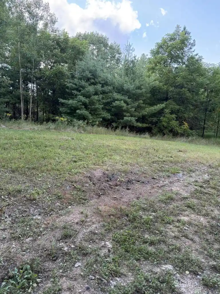 Photo 3 of Land for sale at Lt 1 Lanfear Road Road, Amberg, WI 54102 | MLS# 1978281 | Listing updated on 2026-09-14