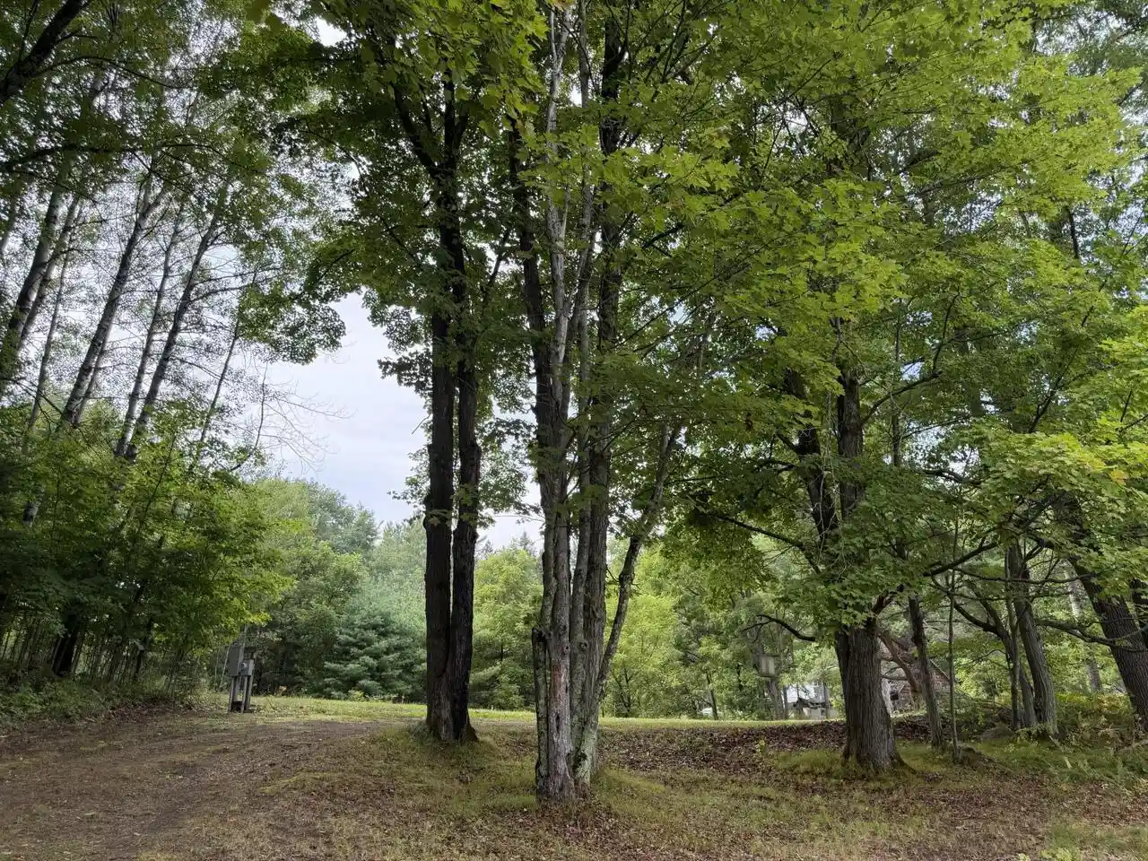 Photo 4 of Land for sale at Lt 1 Lanfear Road Road, Amberg, WI 54102 | MLS# 1978281 | Listing updated on 2026-09-14