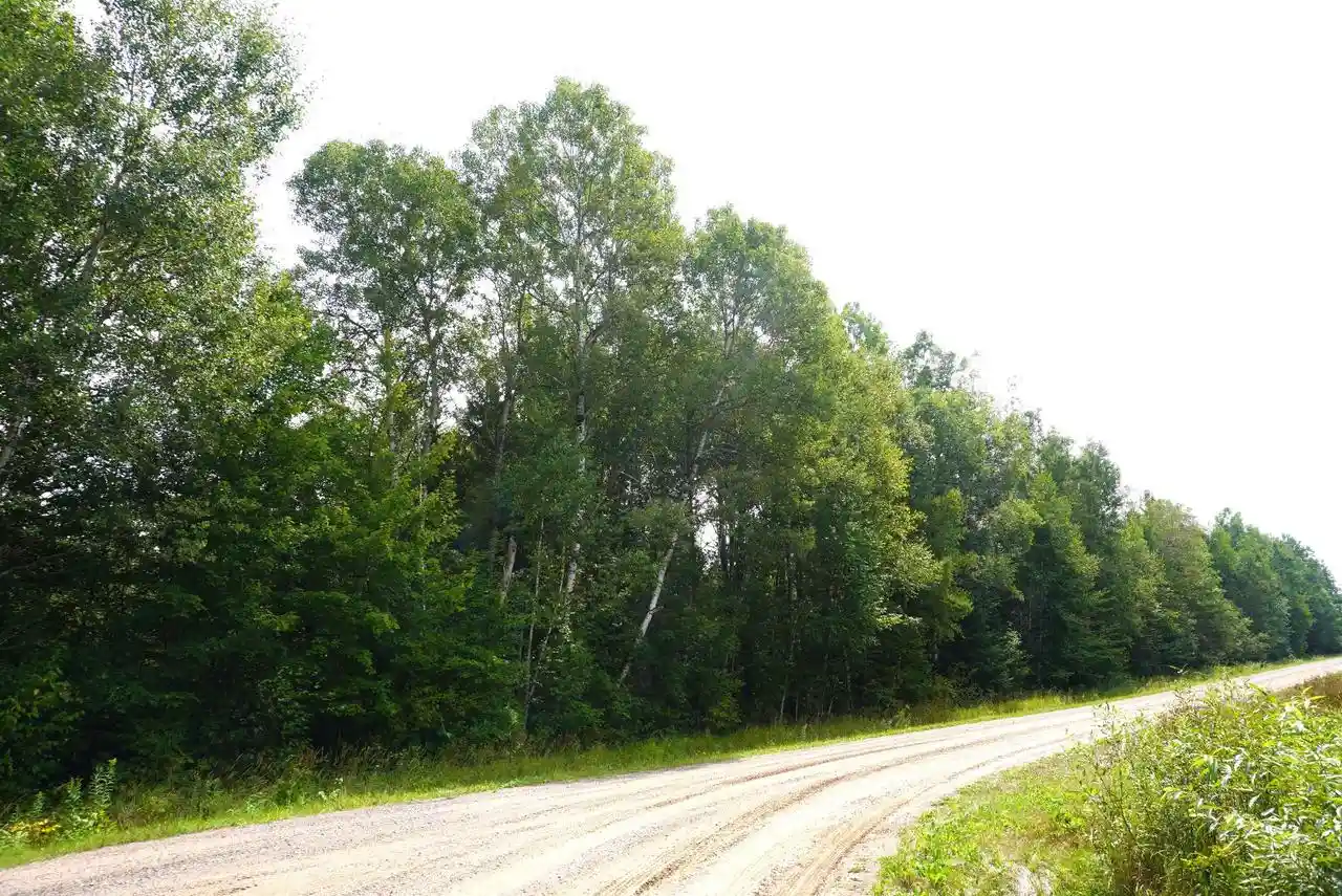 Photo 1 of Land for sale at 20 Acres N Rangeline Road Road, Deerbrook, WI 54424 | MLS# 22604244 | Listing updated on 2026-09-14