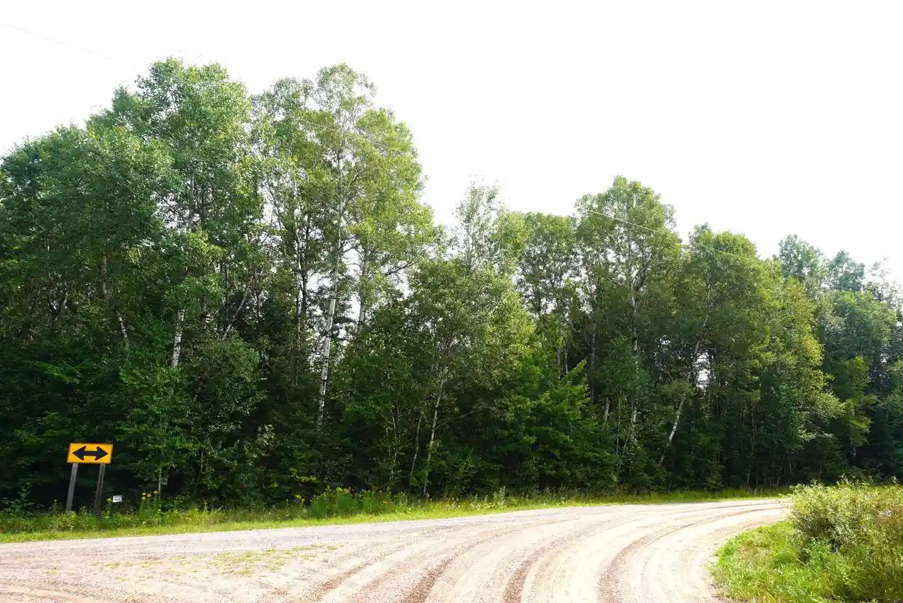 Photo 2 of Land for sale at 20 Acres N Rangeline Road Road, Deerbrook, WI 54424 | MLS# 22604244 | Listing updated on 2026-09-14