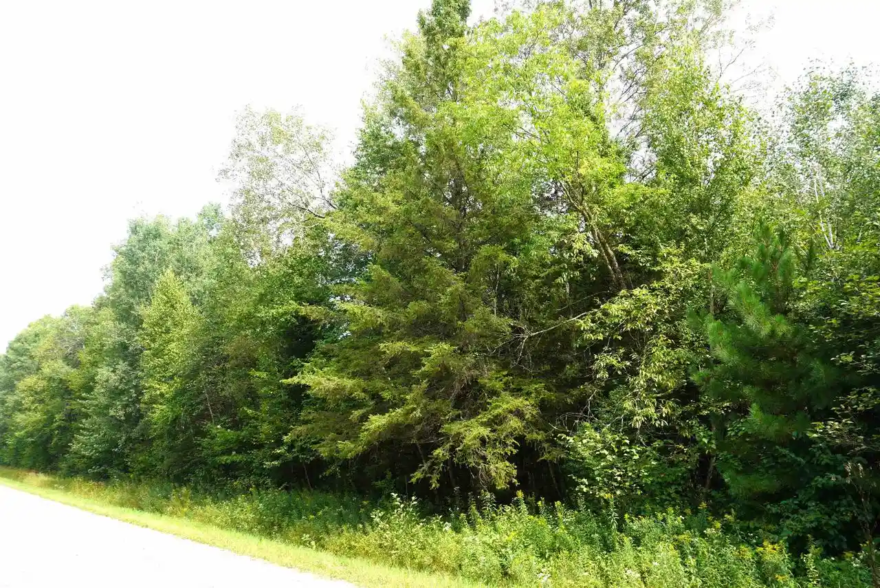 Photo 3 of Land for sale at 20 Acres N Rangeline Road Road, Deerbrook, WI 54424 | MLS# 22604244 | Listing updated on 2026-09-14