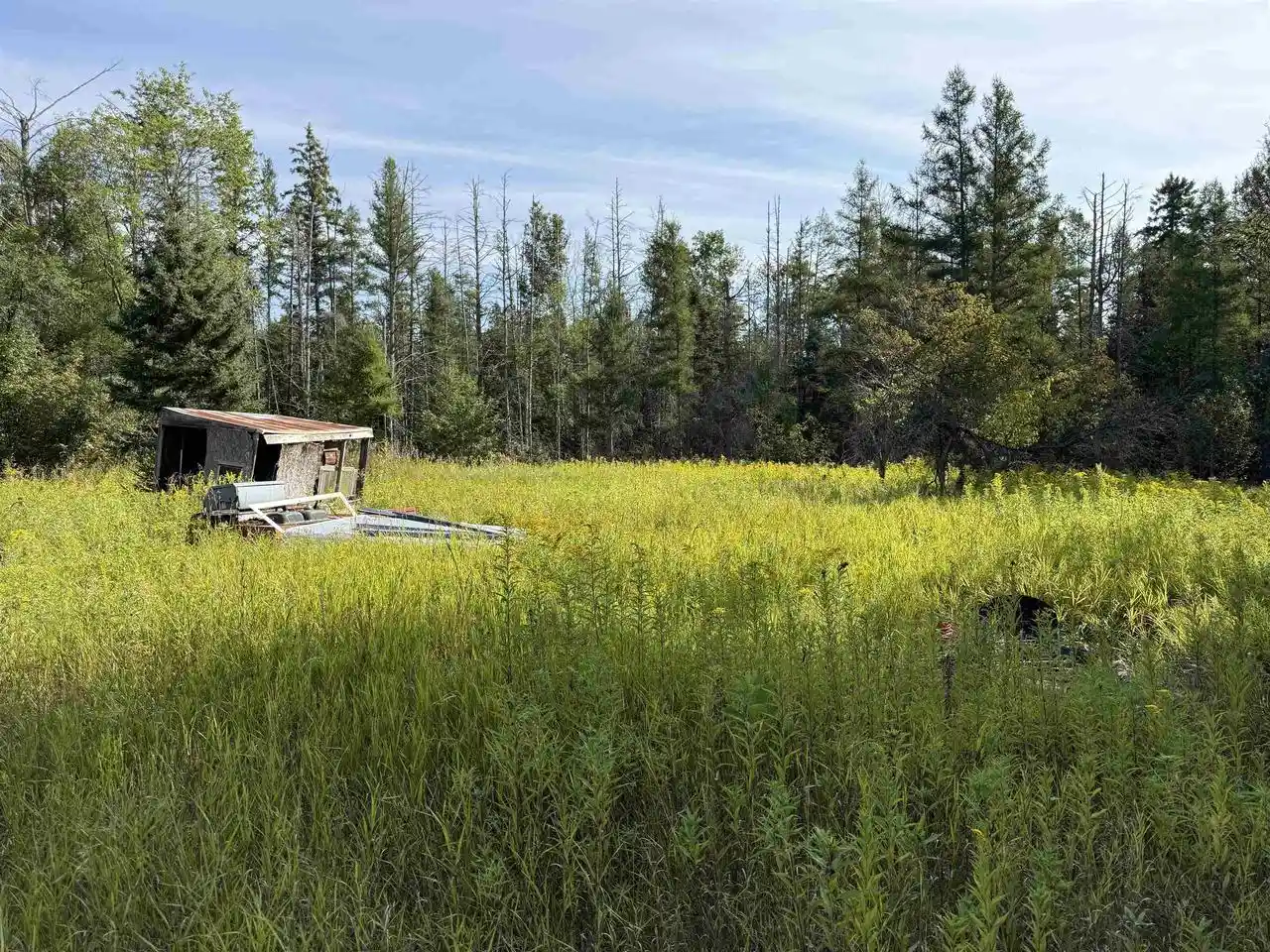 Photo 3 of Land for sale at W7398 Chalk Hills Road Road, Daggett, MI 49821 | MLS# 50331853 | Listing updated on 2026-09-28