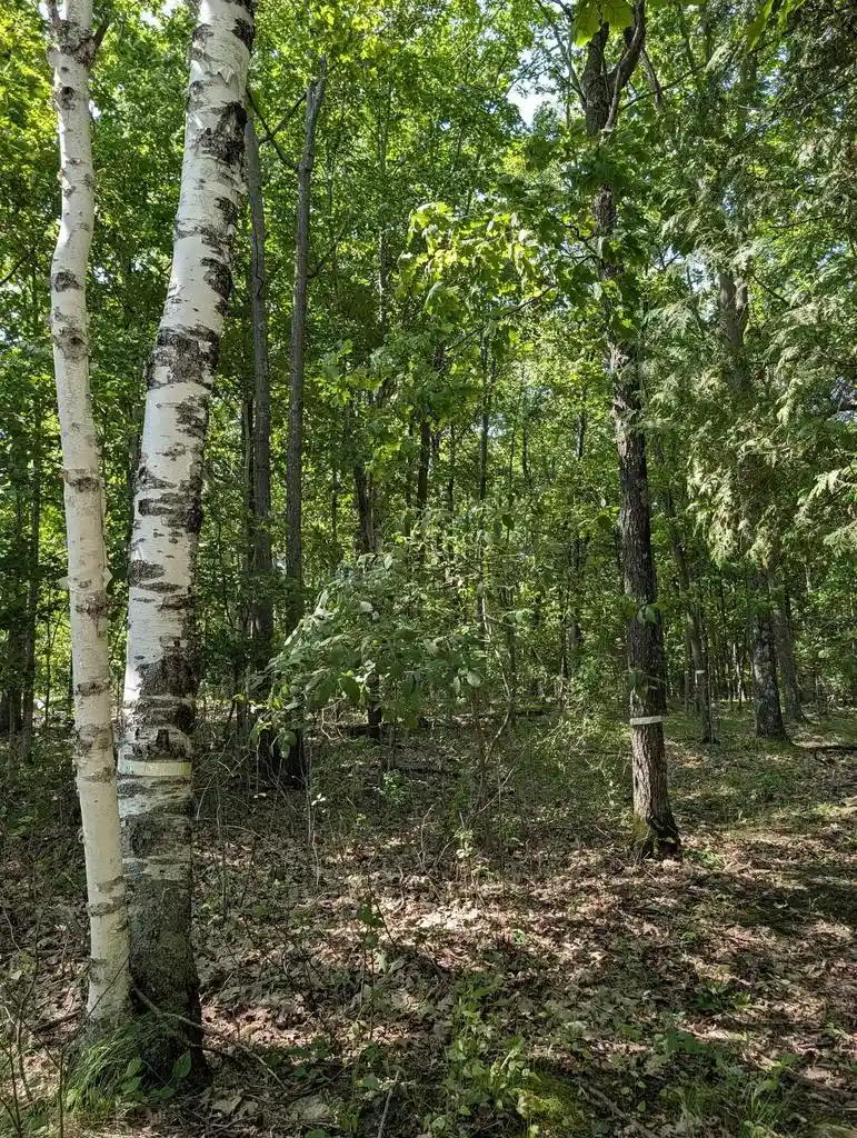 Photo 3 of Land for sale at Jackson Harbor Road Road, Washington Island, WI 54246 | MLS# 50331862 | Listing updated on 2026-08-31