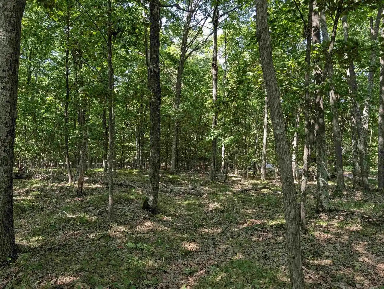Photo 3 of Land for sale at Jackson Harbor Road Road, Washington Island, WI 54246 | MLS# 50331862 | Listing updated on 2026-08-31