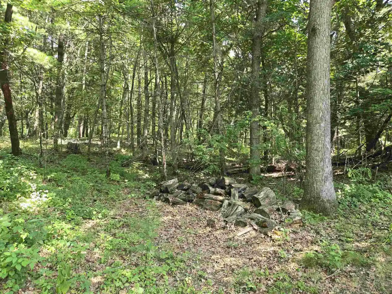 Photo 2 of Single family home for sale at N3988 Wild Cat Road Road, Poynette, WI 53955 | MLS# 2031584 | Listing updated on 2026-10-07