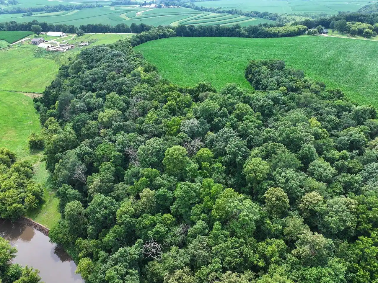 Photo 3 of Land for sale at 3459 Acres Riverbend Road Road, Gratiot, WI 53541 | MLS# 2031617 | Listing updated on 2026-09-22