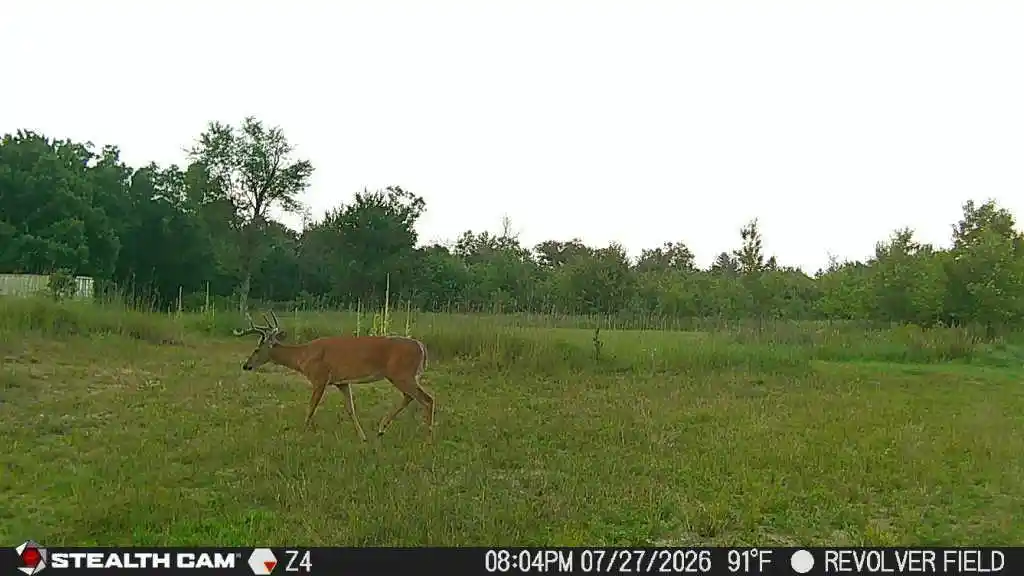 Photo 4 of Land for sale at 529 Beaver Avenue Avenue, Hancock, WI 54943 | MLS# 2031618 | Listing updated on 2026-09-03