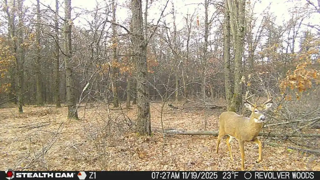 Photo 2 of Land for sale at 0 Beaver Avenue Avenue, Hancock, WI 54943 | MLS# 2031620 | Listing updated on 2026-09-03