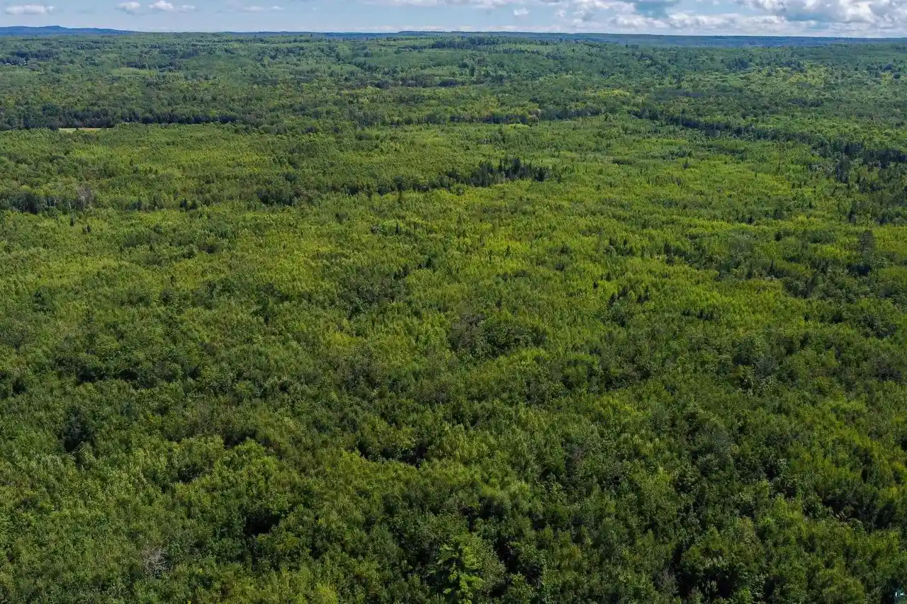 Photo 1 of Land for sale at 40 Acres Near State Hwy 13, Herbster, WI 54844 | MLS# 6127681 | Listing updated on 2026-08-30