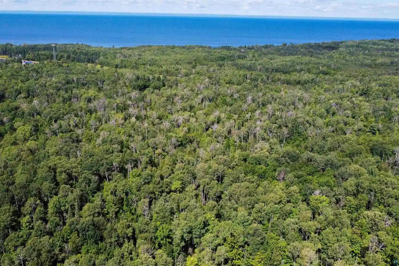 Photo 2 of Land for sale at 40 Acres Near State Hwy 13, Herbster, WI 54844 | MLS# 6127681 | Listing updated on 2026-08-30